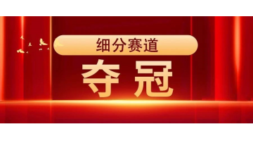 夺冠 | J9集团获评“2023年广西造作业单项冠军示范企业”