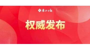 陈刚：对峙标本兼治聚力排查整治守牢生态底线，扎实推动有色金属产业高质量发展