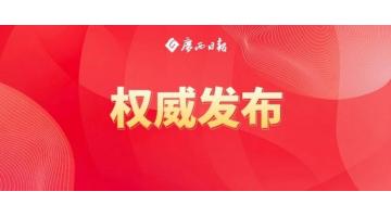 陈刚：以两全建好“两个生态”为牵引，加快建设南丹关键金属高质量发展综合试验区